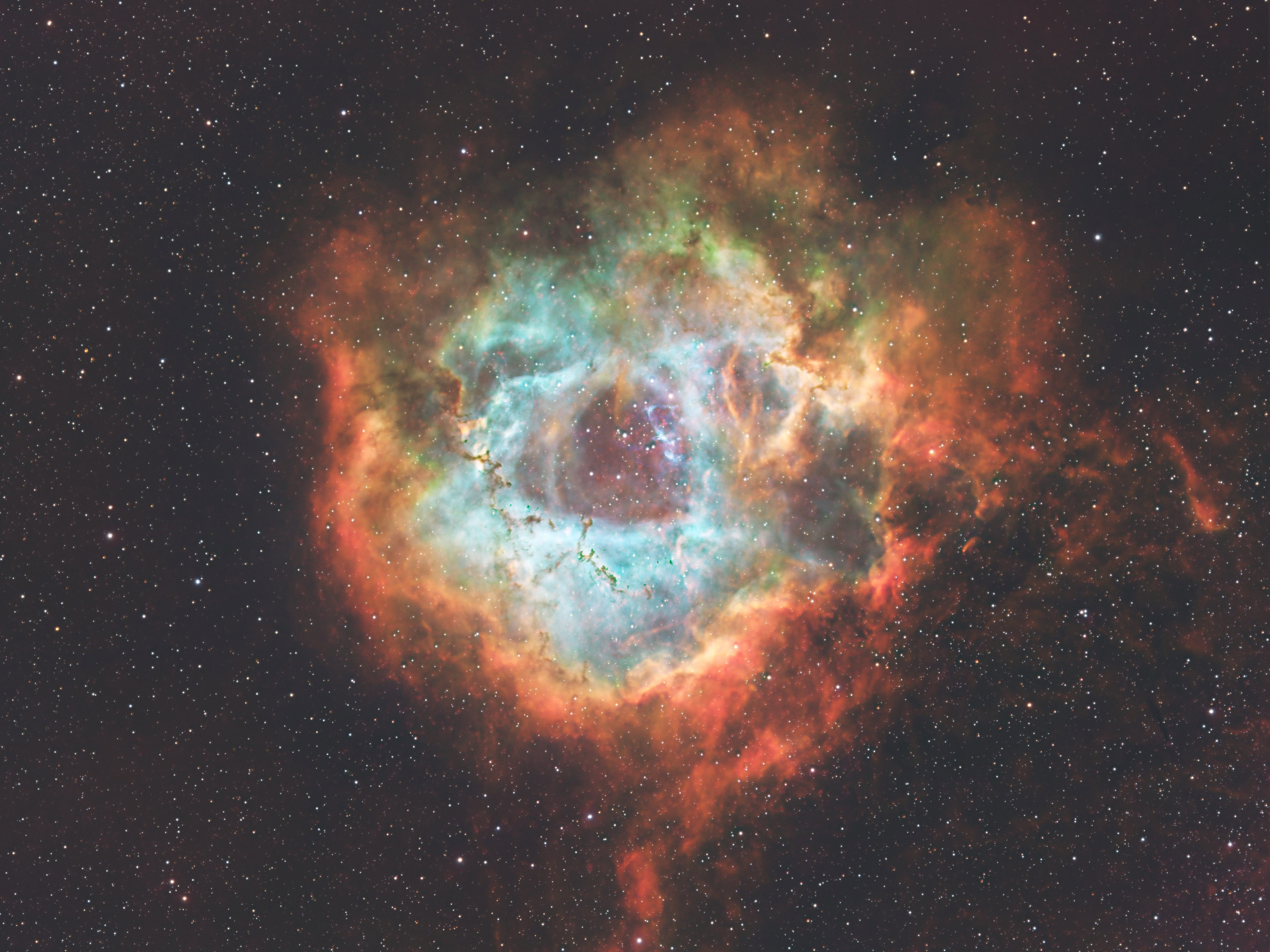 Rosette Nebula NGC 2237