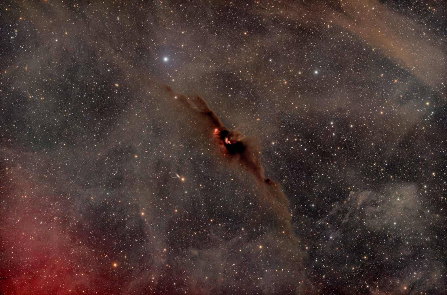 LDN 43: The Cosmic Bat Nebula