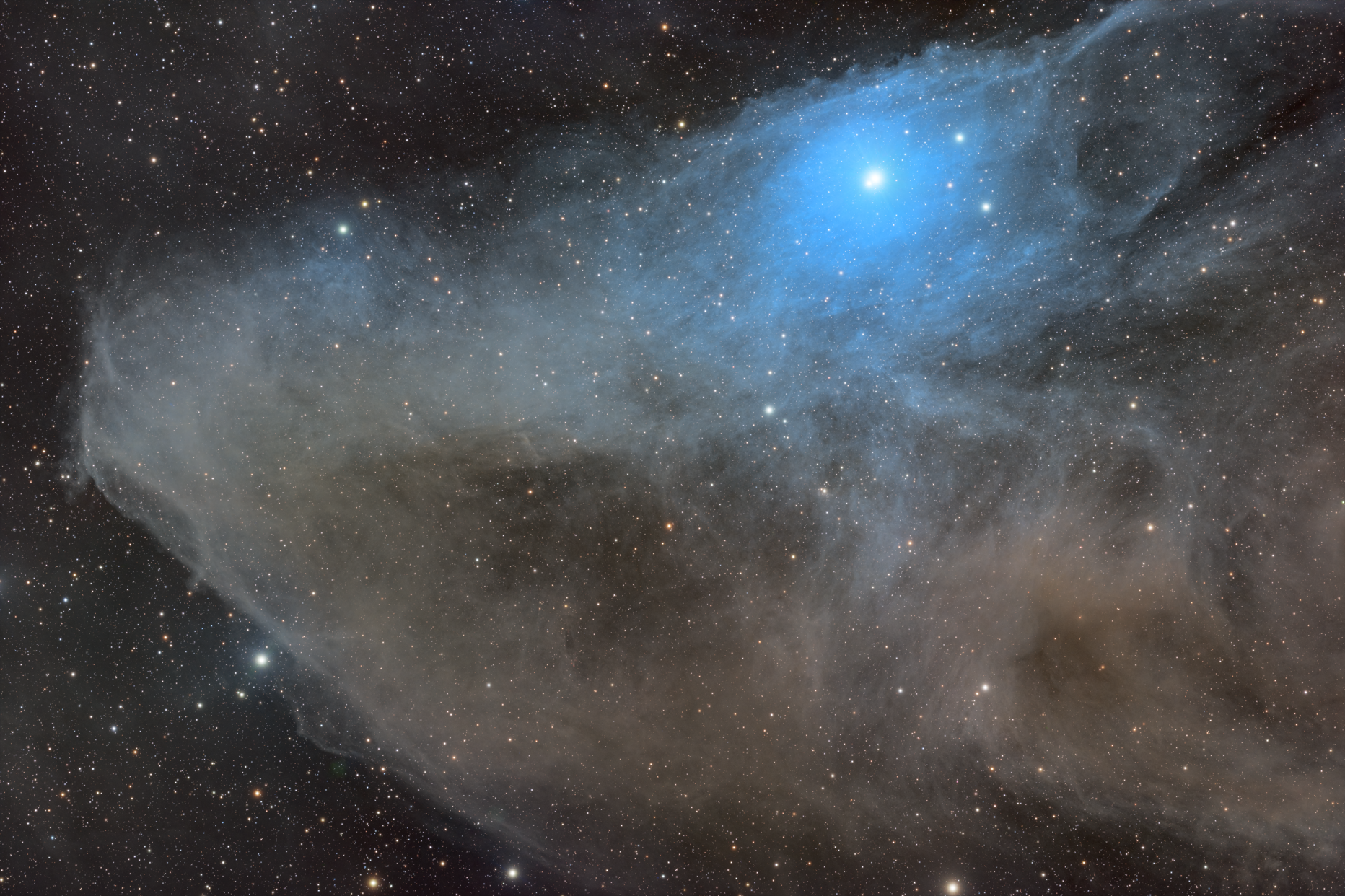 IC 4592 - The Blue Horsehead Nebula
