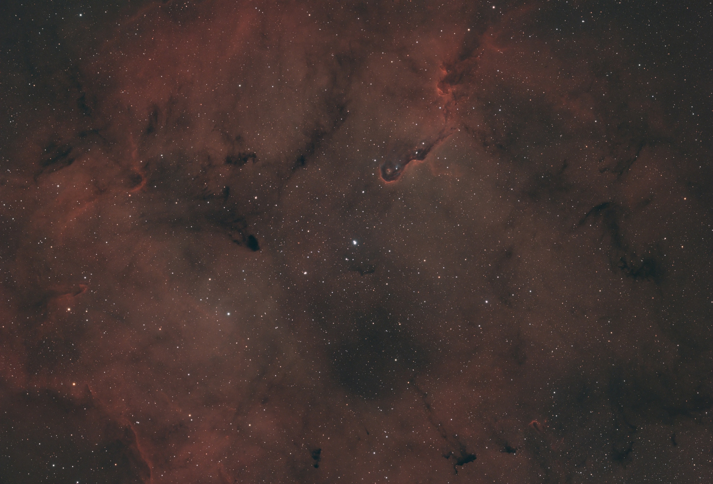 IC 1396