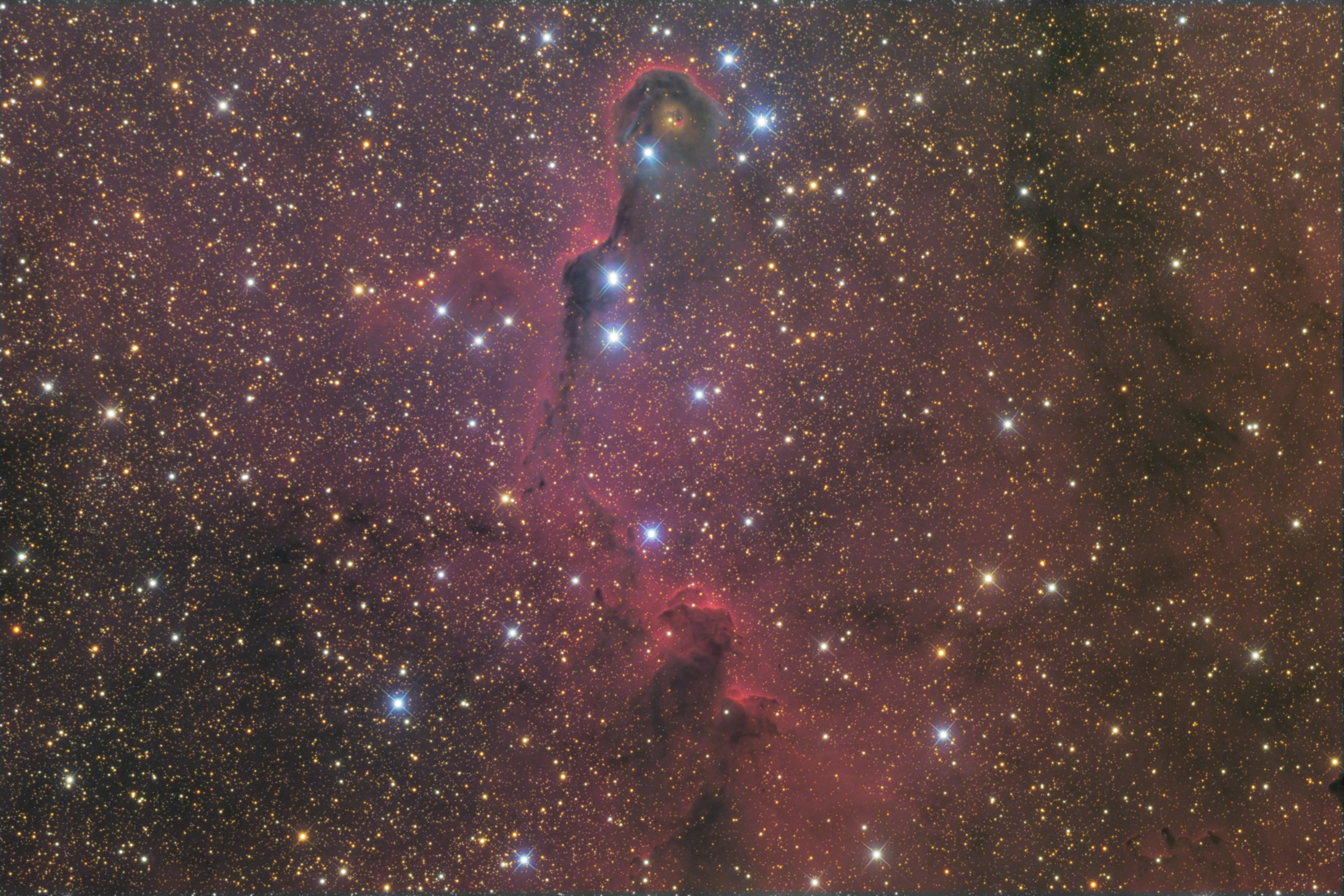 IC1396