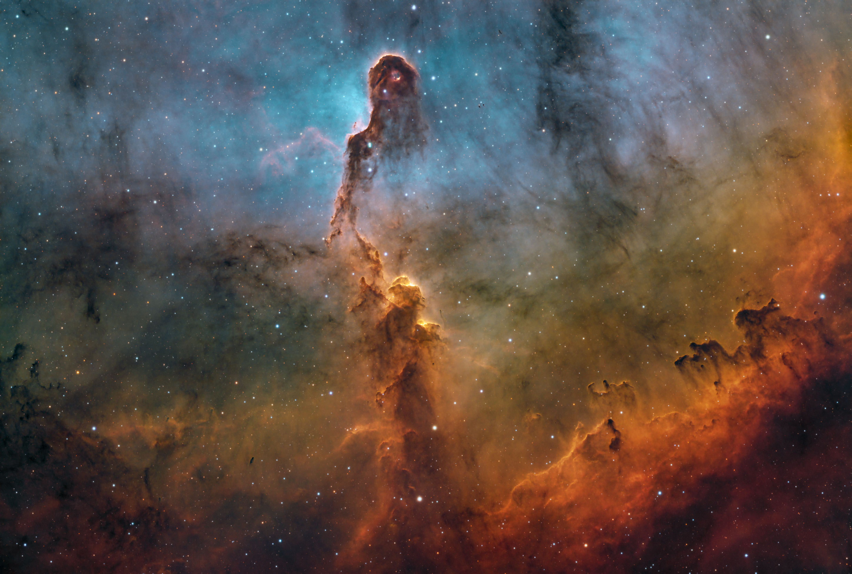 IC 1396 - Elephant's Trunk Nebula