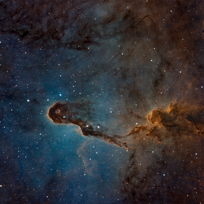 IC 1396a