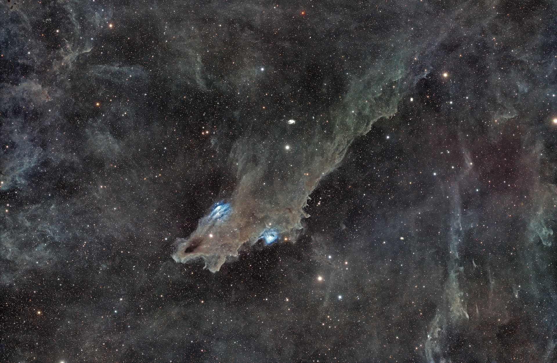 LDN 1235 - Shark Nebula