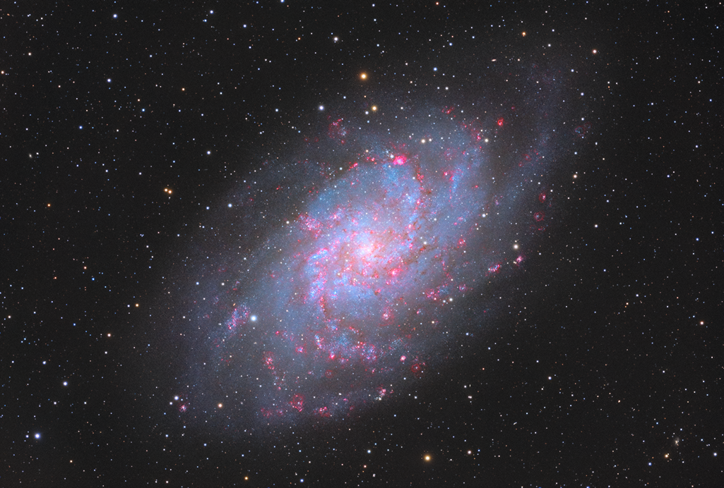 M33