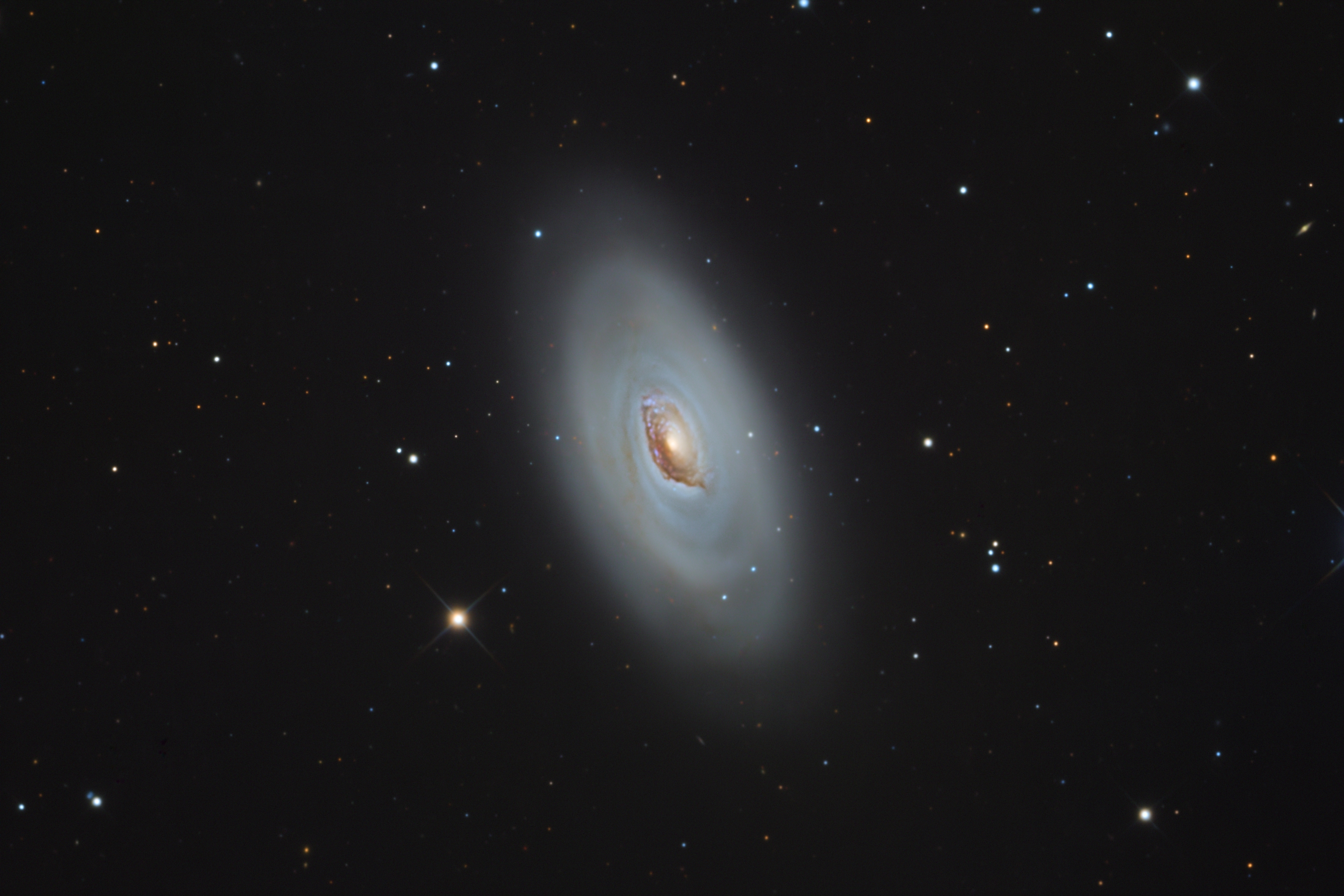 M64