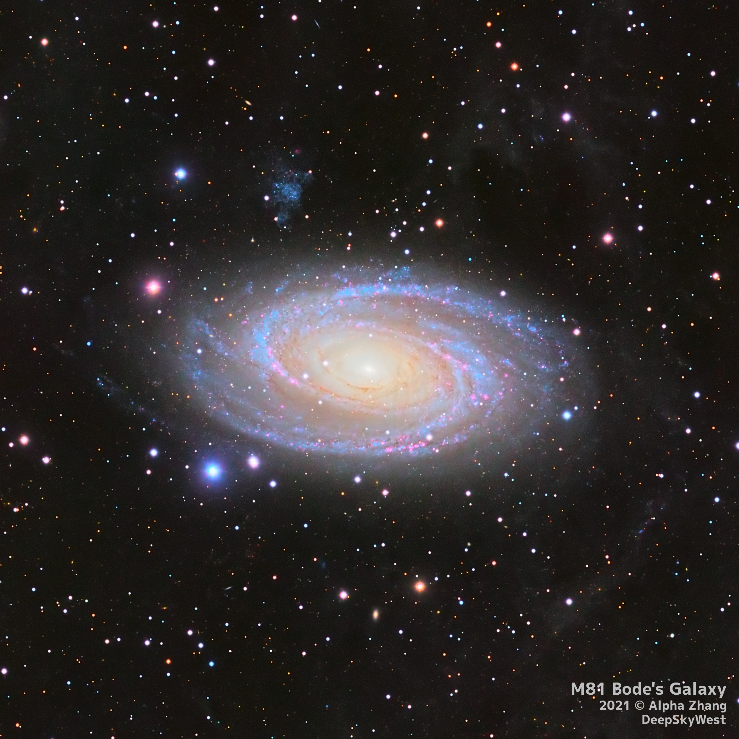 M81