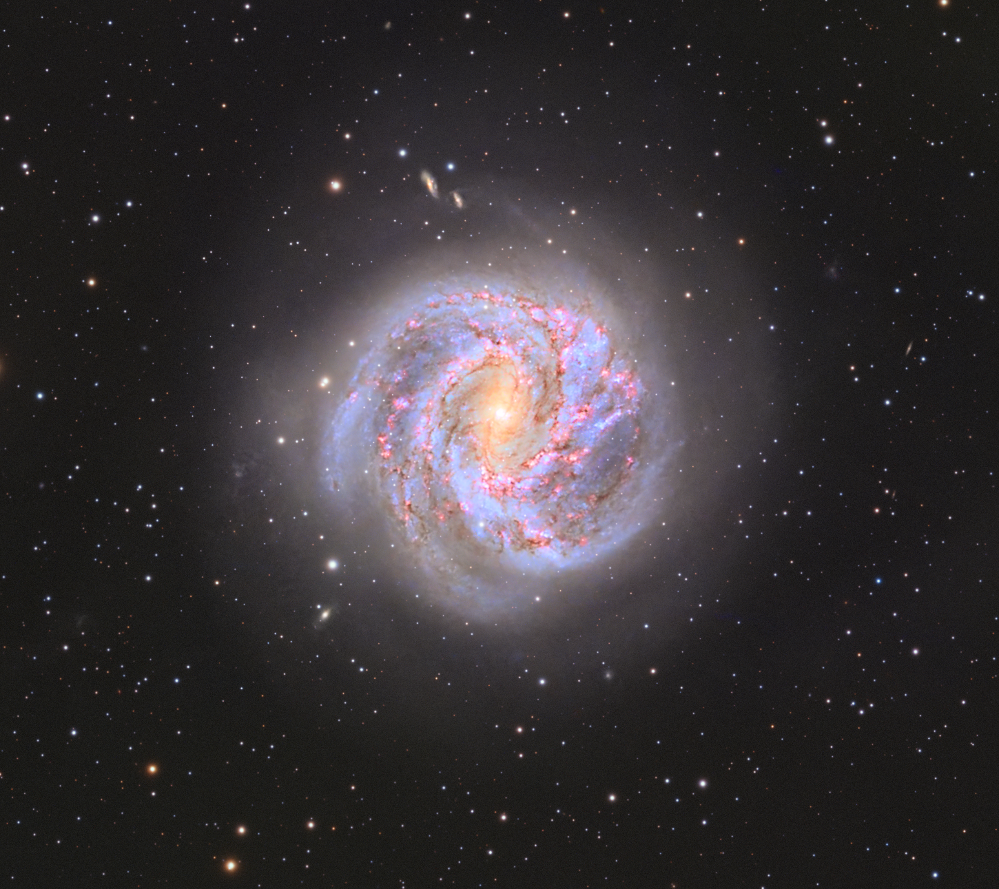 M83