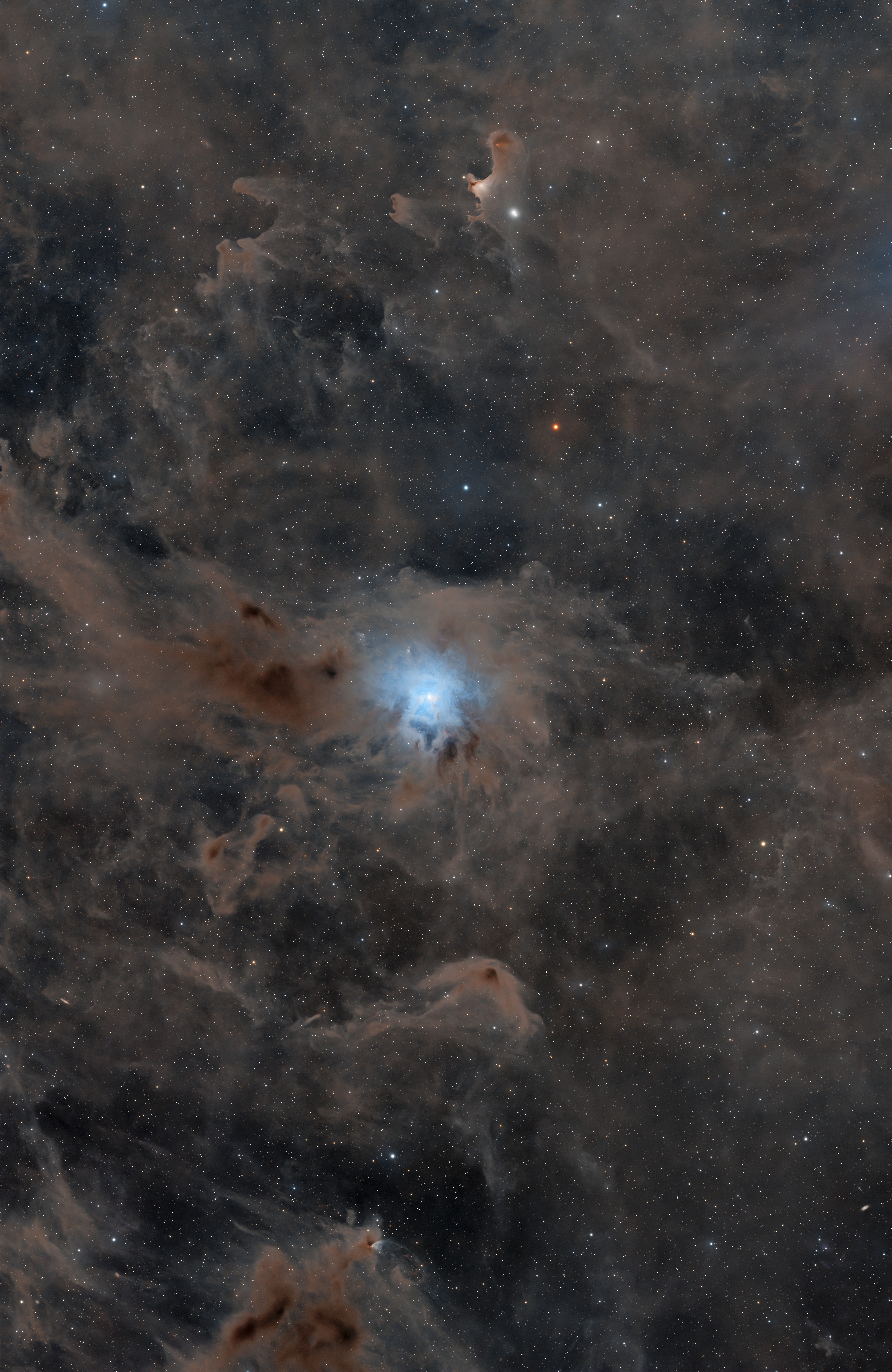 NGC 7023