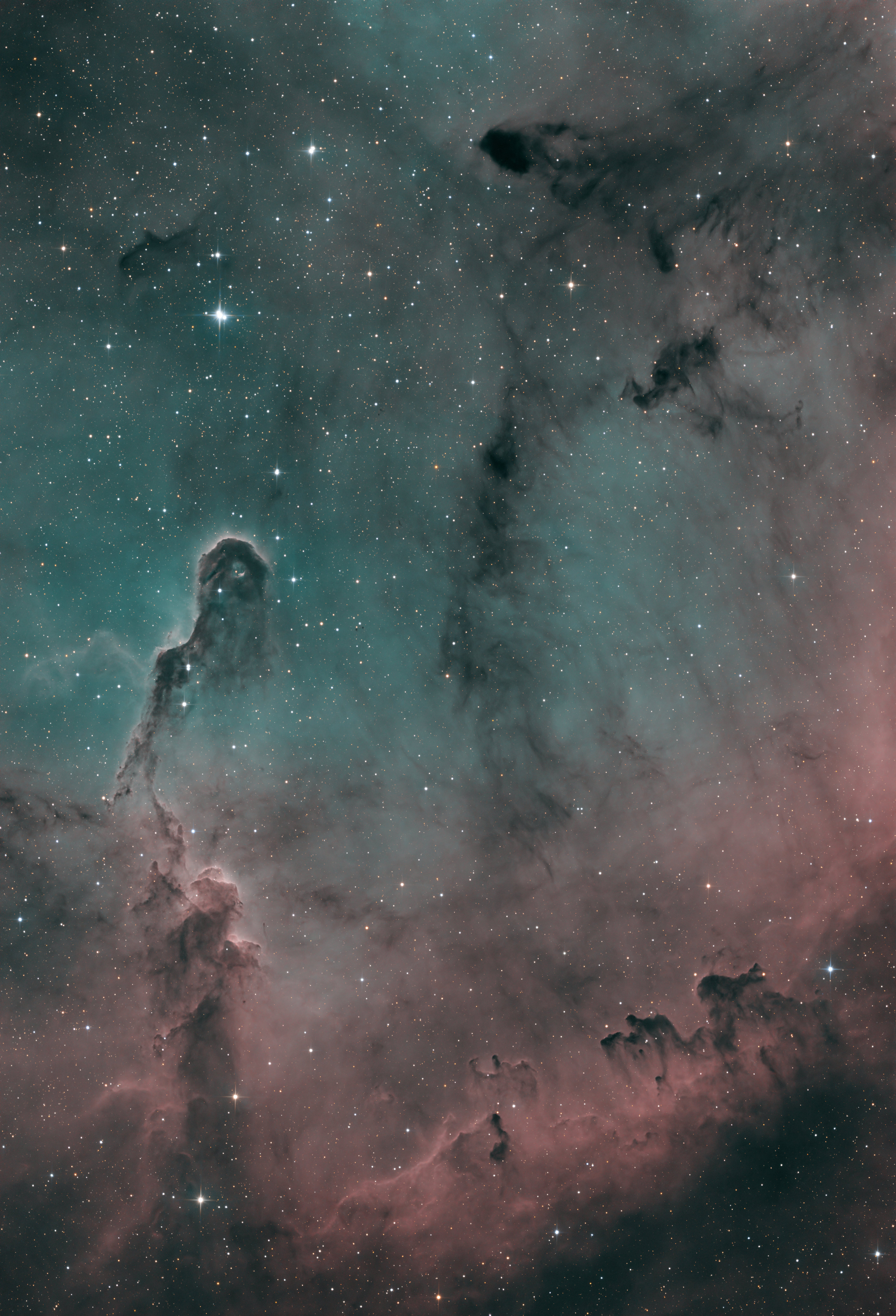 IC 1396 - Elephant Trunk