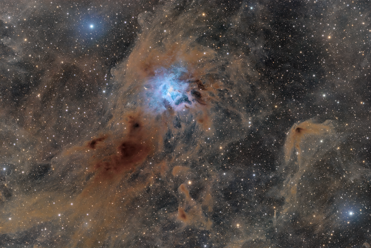 NGC 7023 - Iris Nebula - Bortle 1 :: 44h