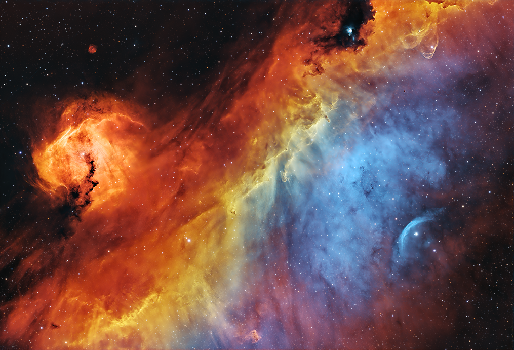 The Seagull Nebula - IC2177