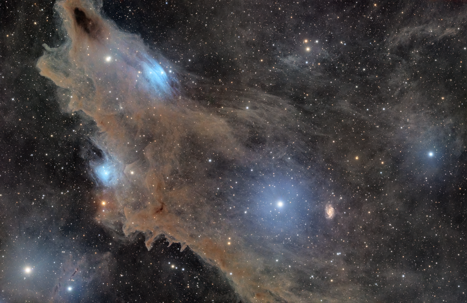 LDN 1235 - The Shark Nebula
