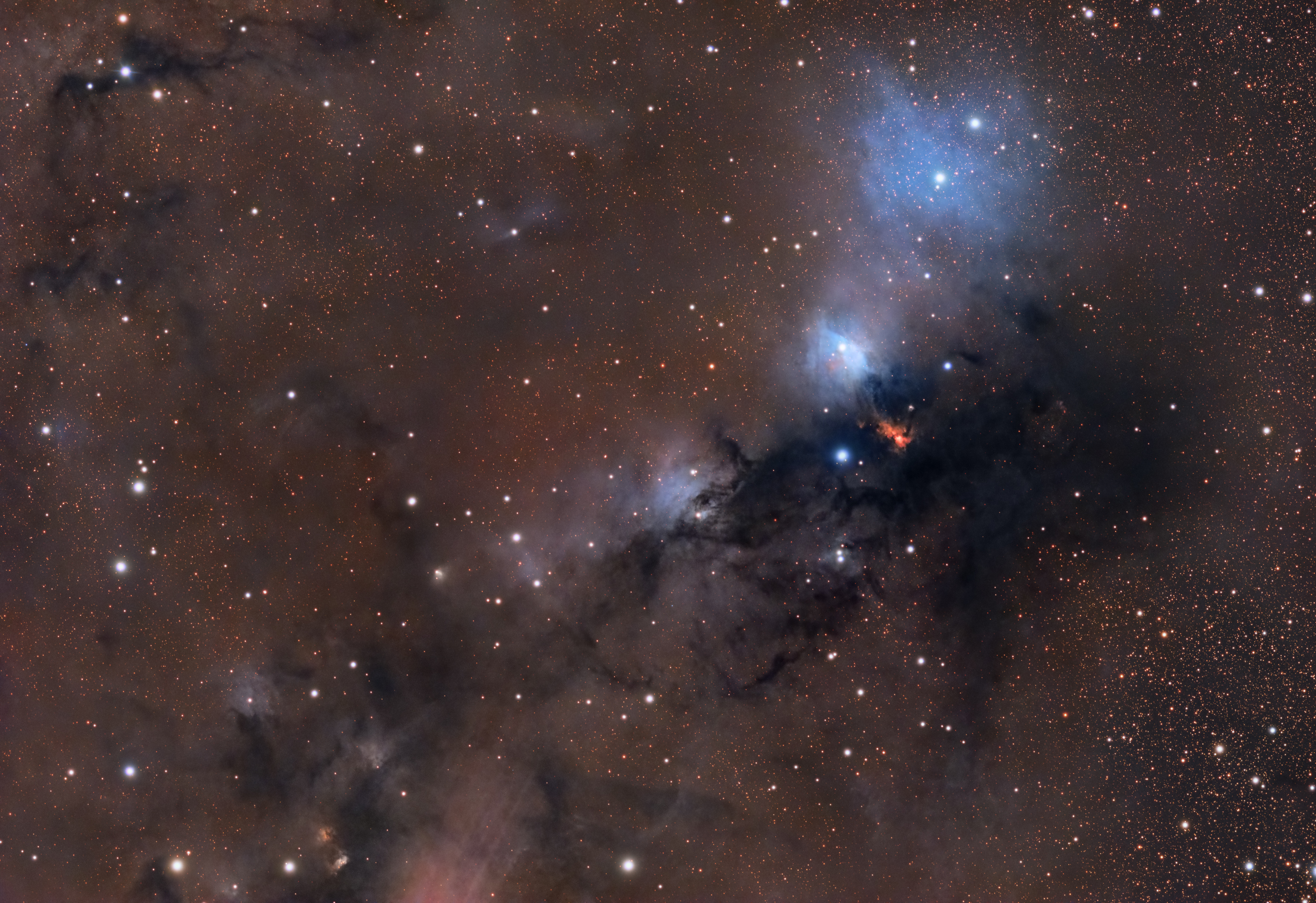 VDB 123 - LDN 572
