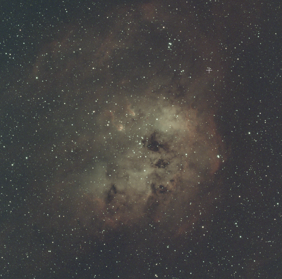 IC 410 The Tadpoles