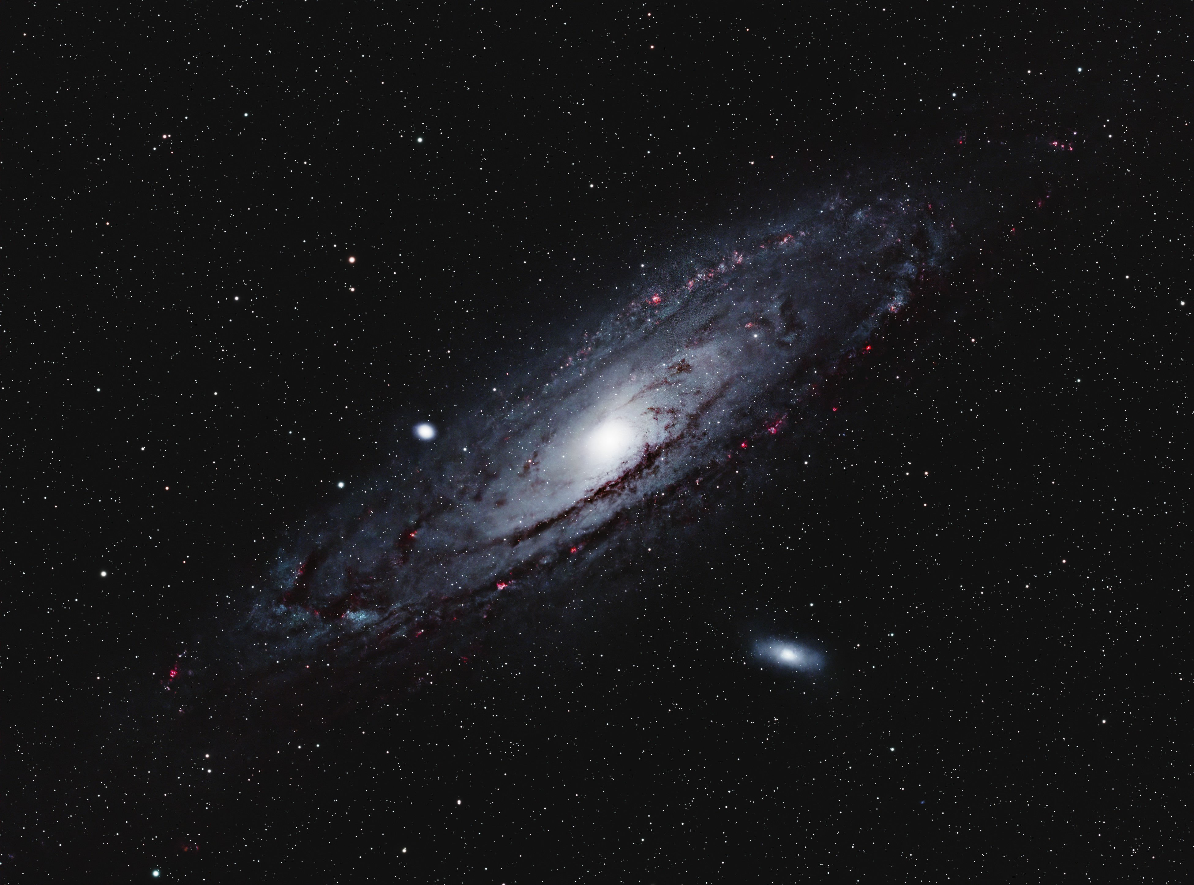 M31