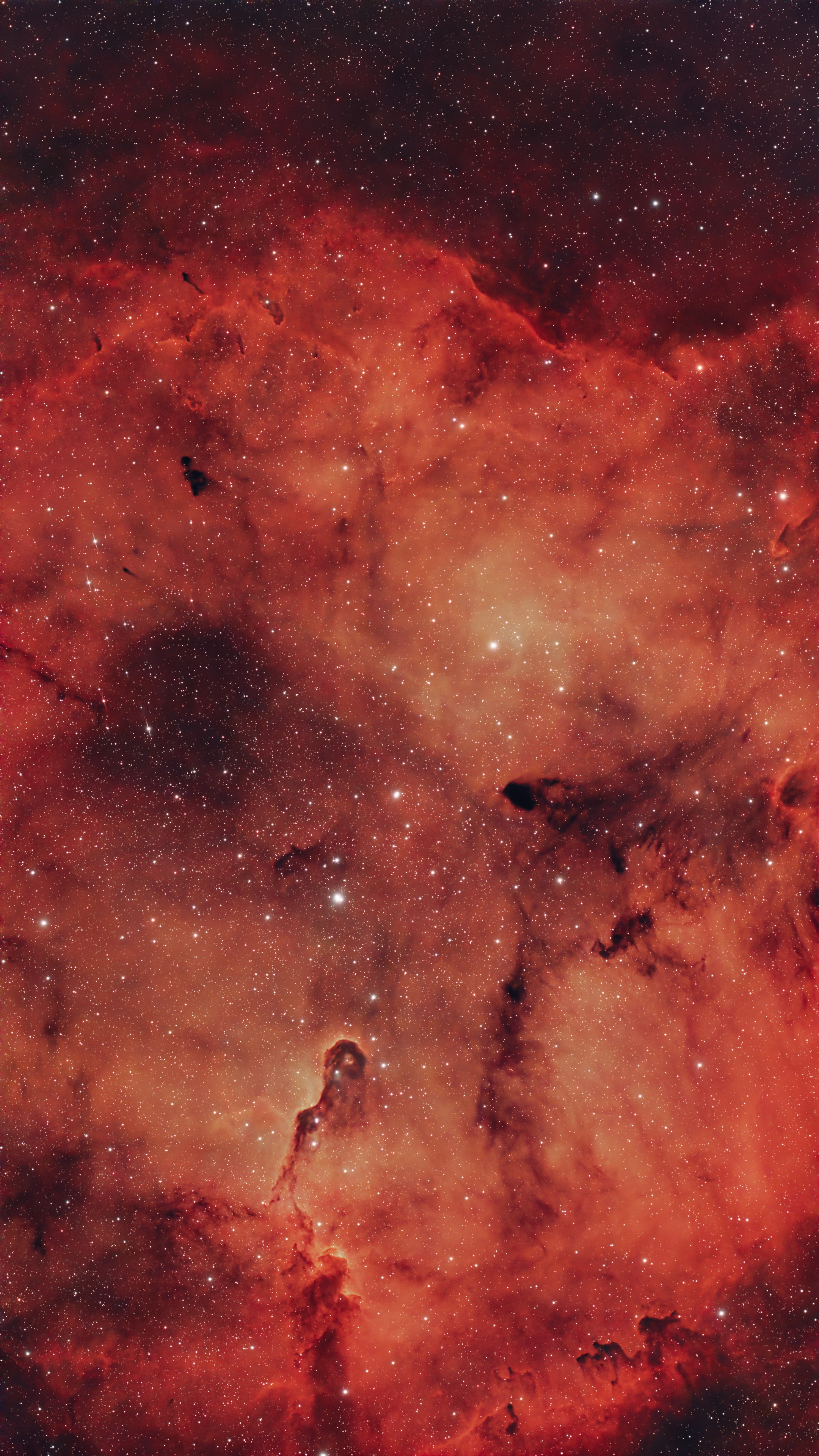 IC 1396A, Elephants trunk nebula