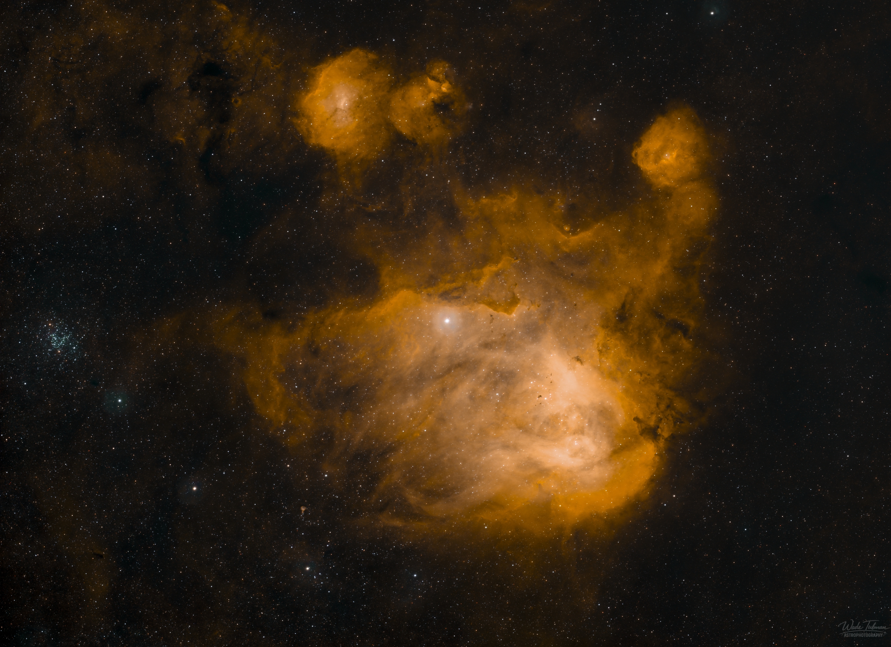 IC2944 Running Chicken