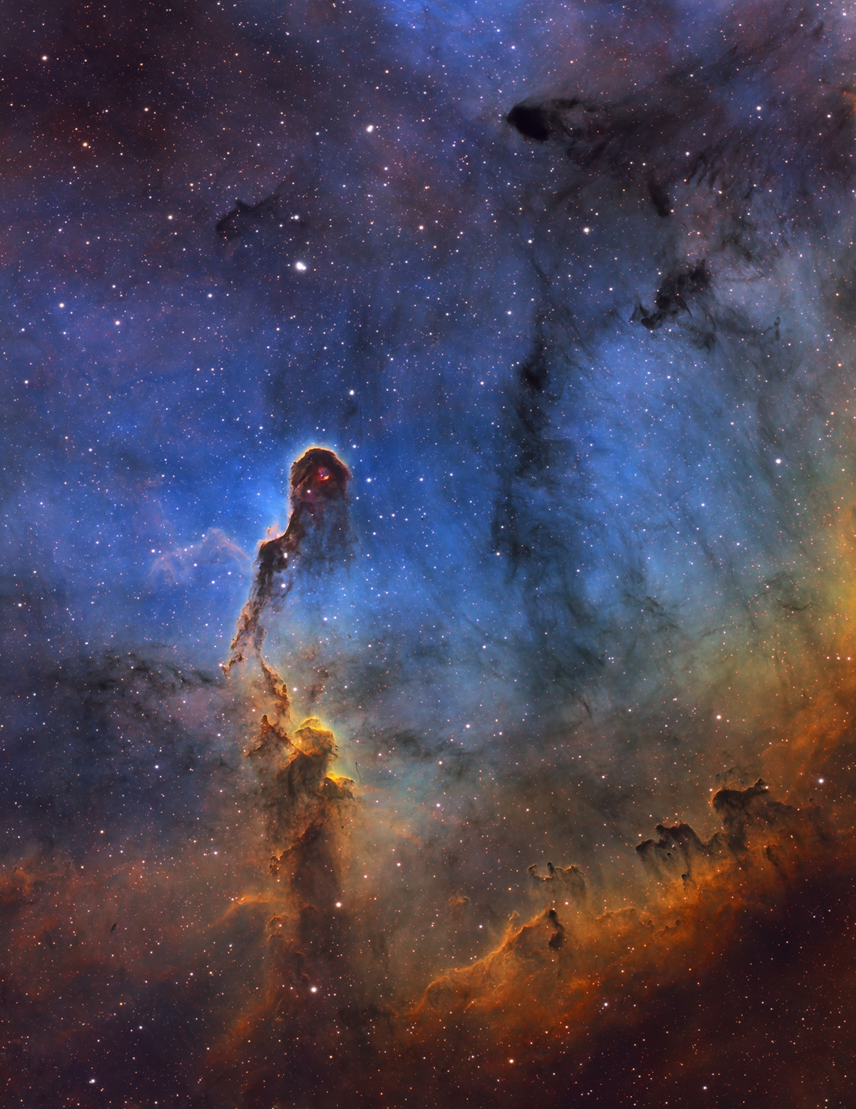 IC 1396 (Elephant's Trunk Nebula)