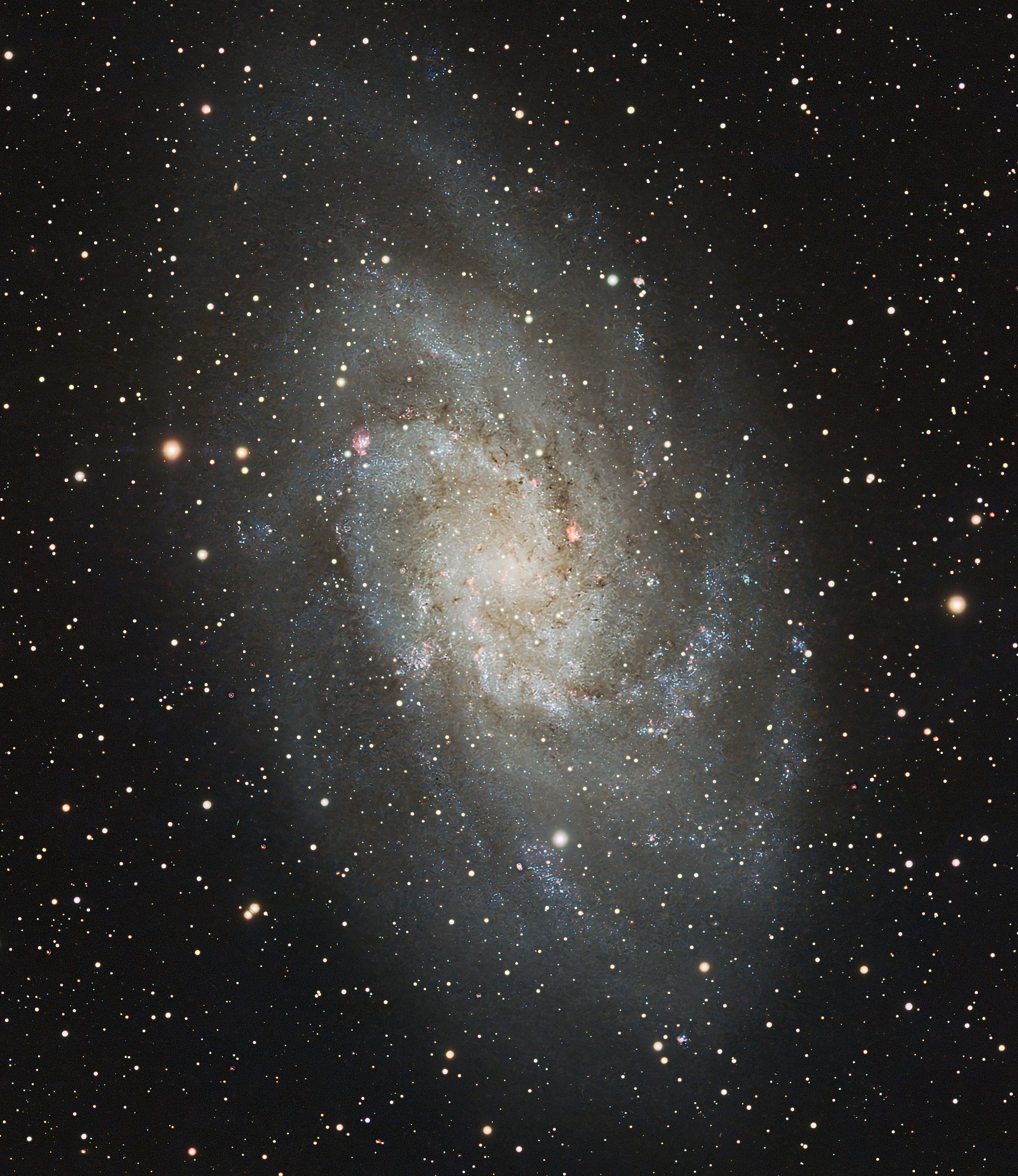 M33 Triangulum Galaxy