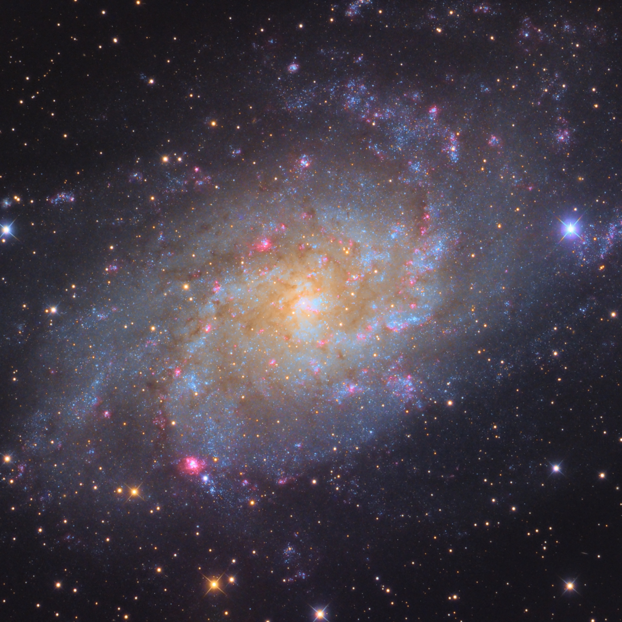 M33