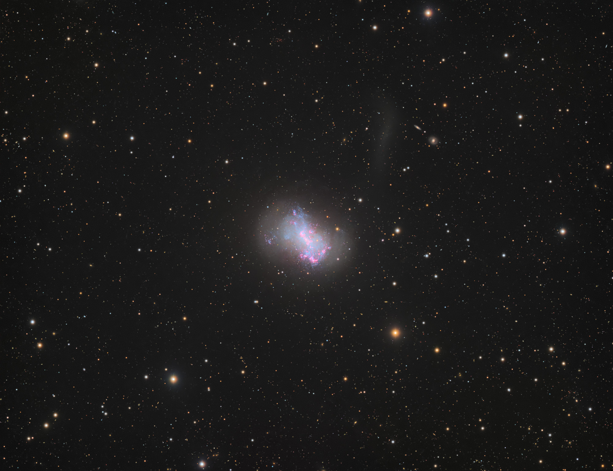 NGC 4449