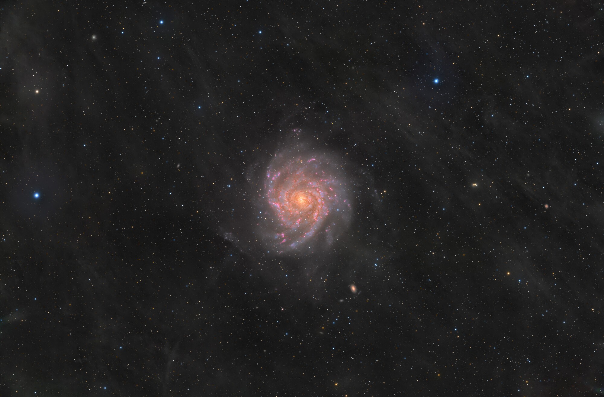 IC 342