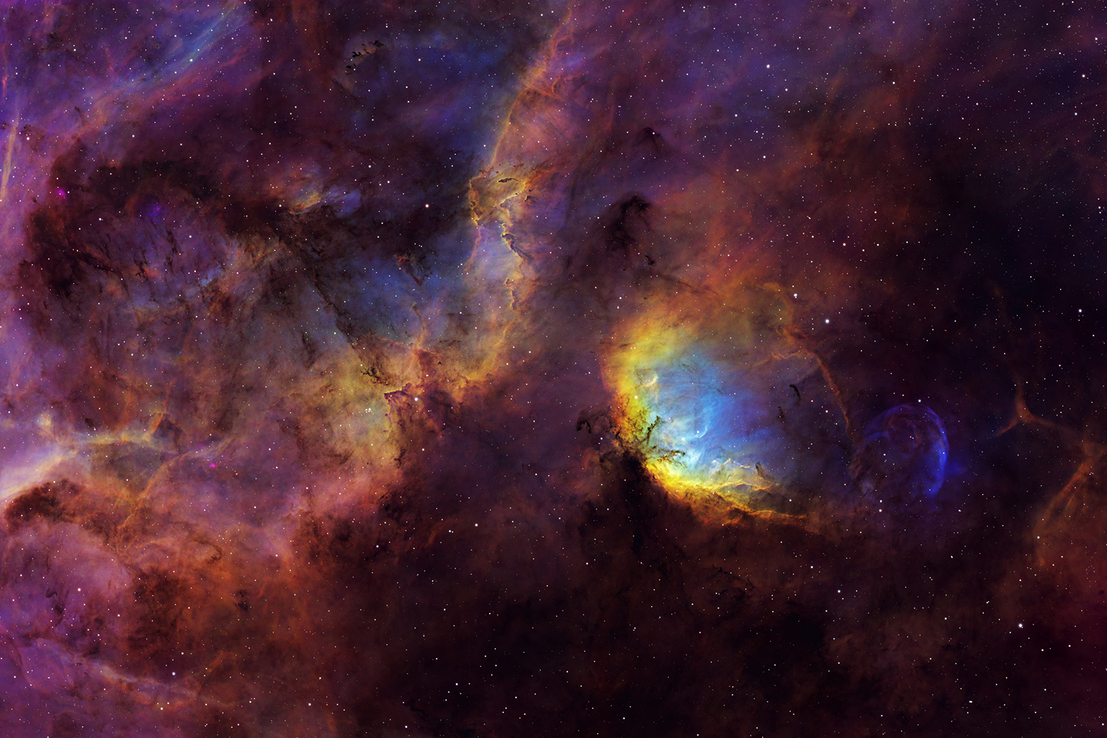SH2-101 (Tulip Nebula)