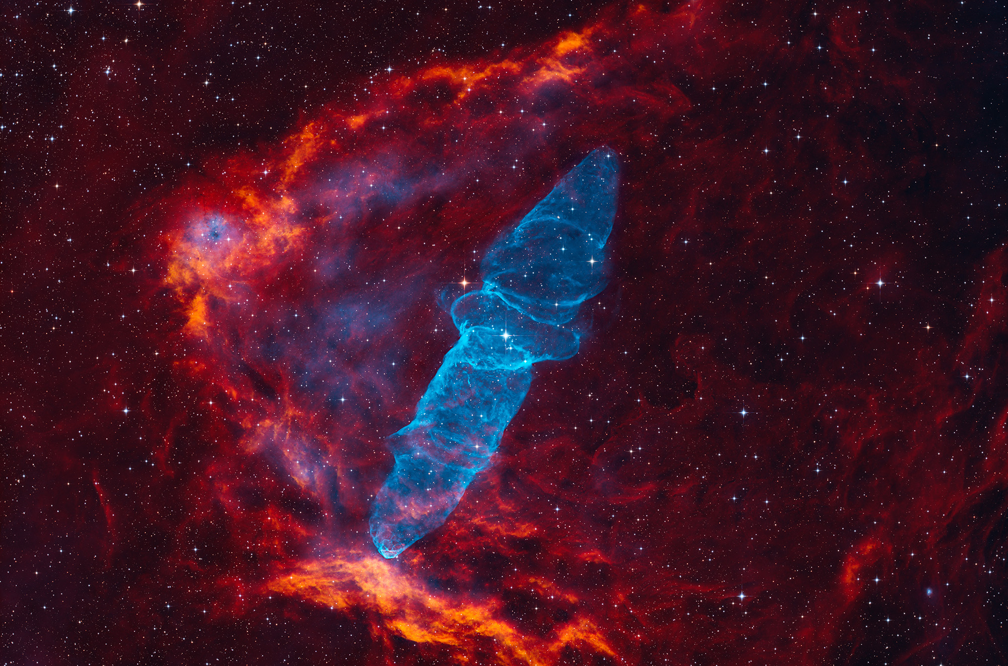 The Squid Nebula (Ou4) and the Flying Bat Nebula (Sh2-129)