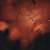 The Chinese Dragon Nebula NGC 6559