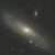M31