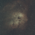 IC 410 The Tadpoles