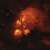 Cat's Paw — NGC 6334