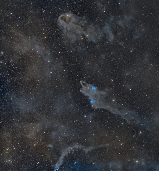 nebulose oscure