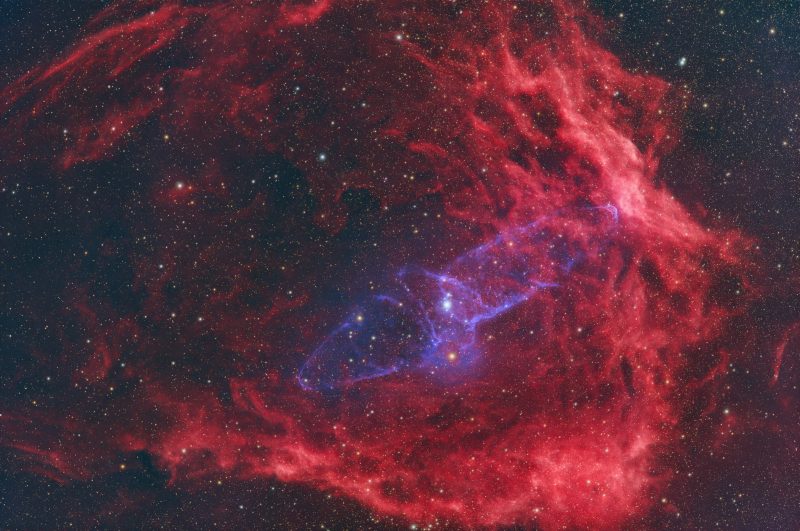 Squid Nebula