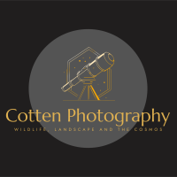 David Cotten