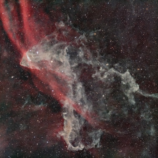 Gecko Nebula - Zdjęcia Astrofotografia - stack, Master Light Frames do pobrania - askar 71F