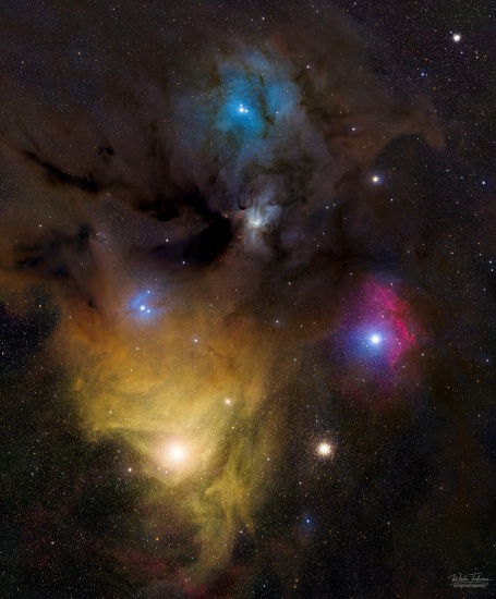 Rho Ophiuchi Mosaic - Imagen de astrofotografía - apilado, Master Light Frames para descargar - Redcat 61