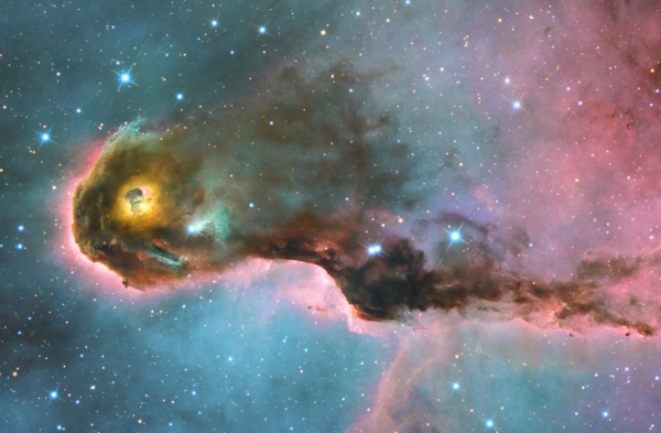 IC 1396 Elephant's Trunk Nebula