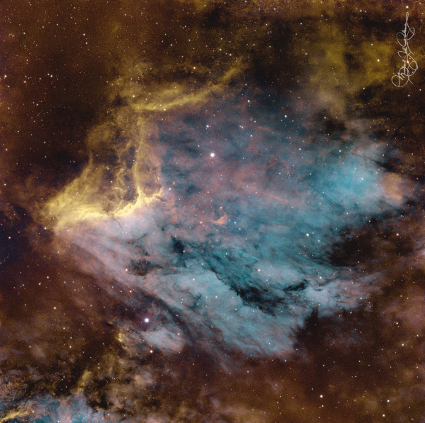 IC 5070 Pelican Nebula