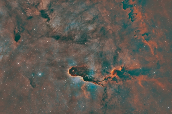 IC1396