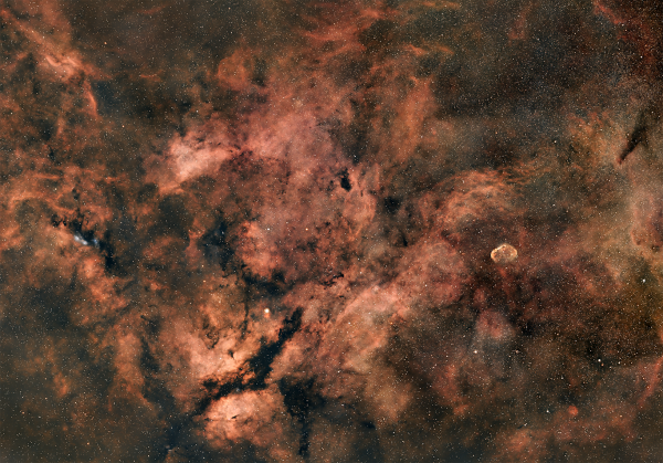IC 1318 - Sadr Region