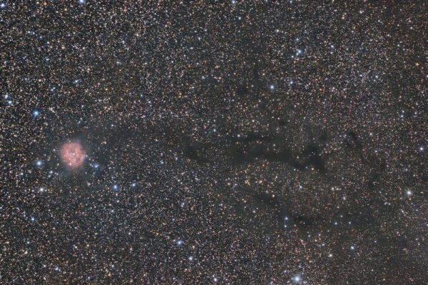 IC5146 wide field