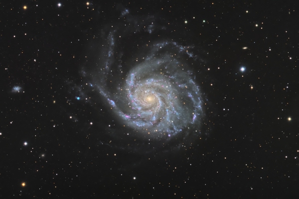 M101