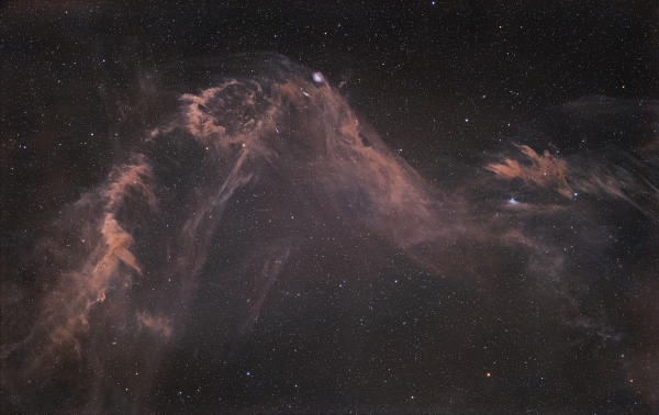 Mandel-Wilson 9 IFN