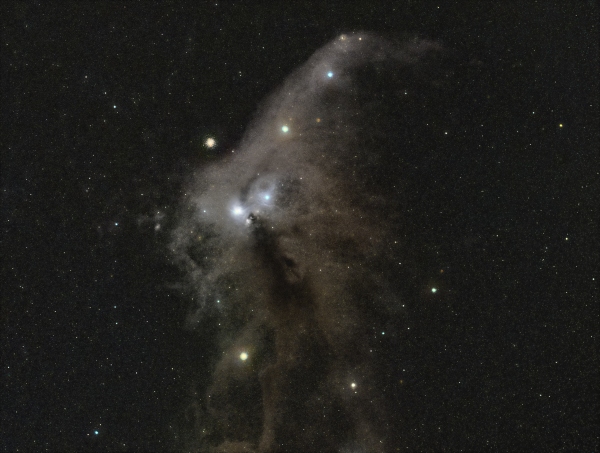 R CrA Nebula - NGC 6726