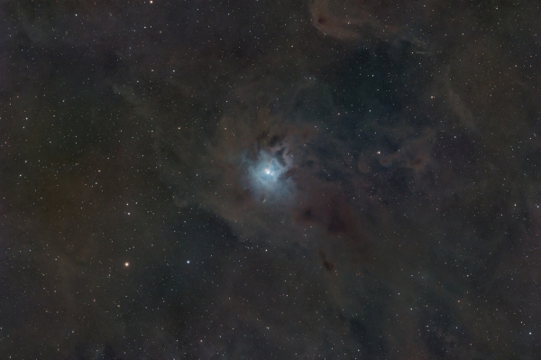 NGC 7023 – Iris Nebula