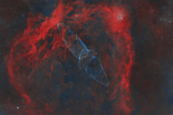 SH2-129 Flying Bat Nebula OU4 Squid Nebula