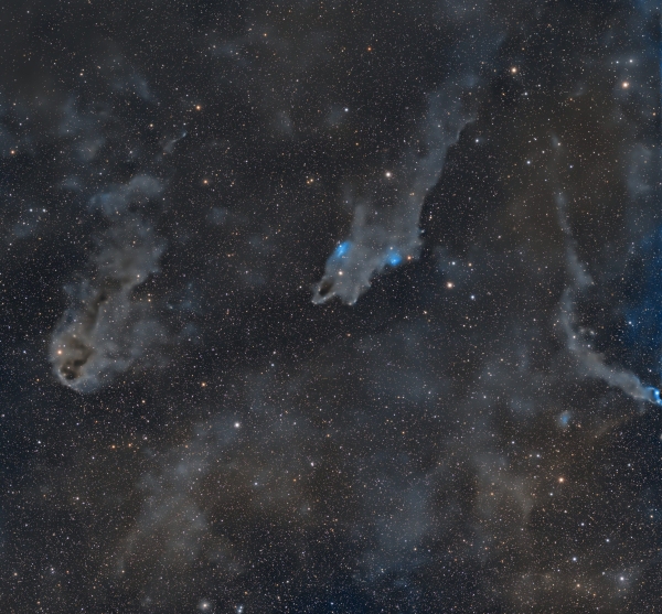 nebulose oscure