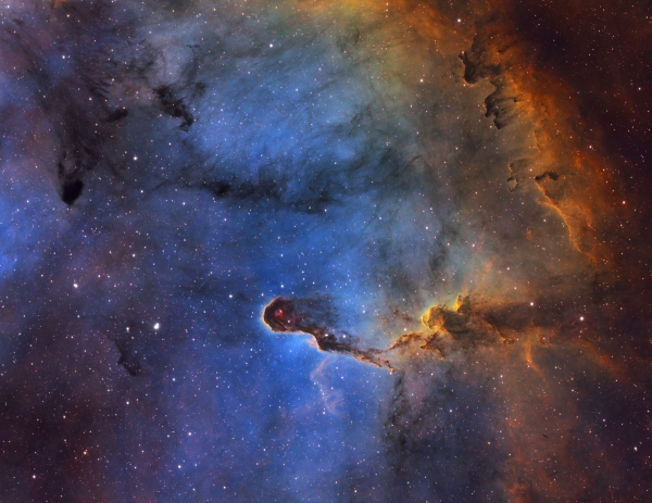 IC 1396 (Elephant's Trunk Nebula)